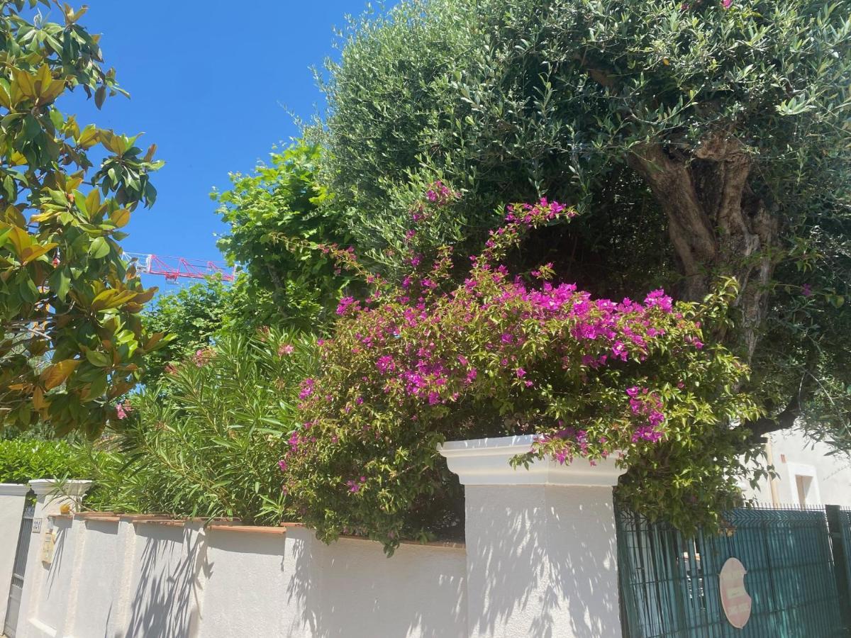 Arche De Portissol Sanary Appartement De Charme 4 A 6 Personnes Εξωτερικό φωτογραφία